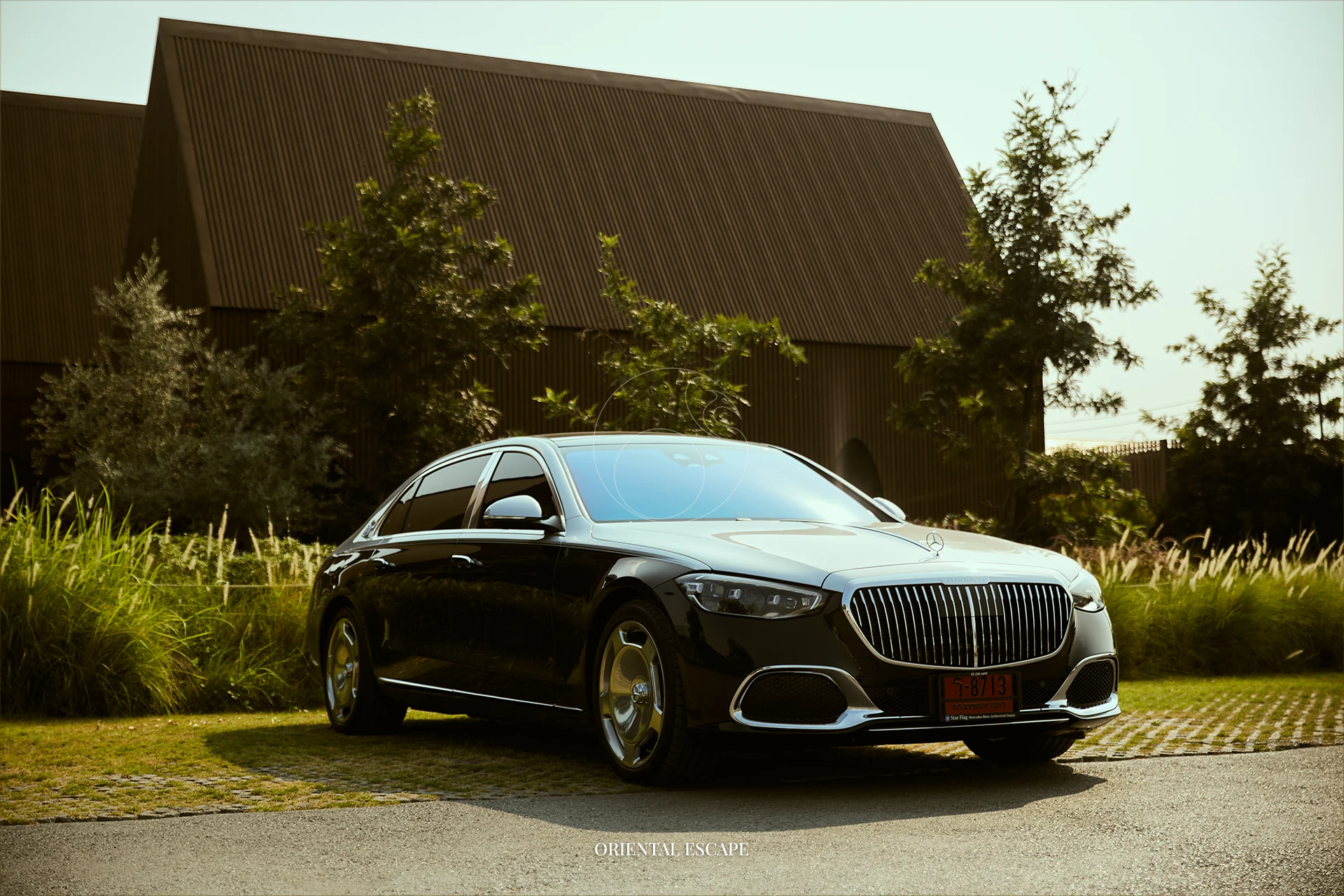 Travel Options — Luxury Car