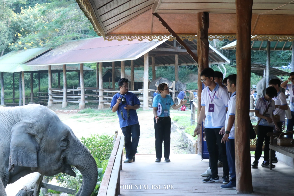 Chiang Mai Licensed Tourist Guide