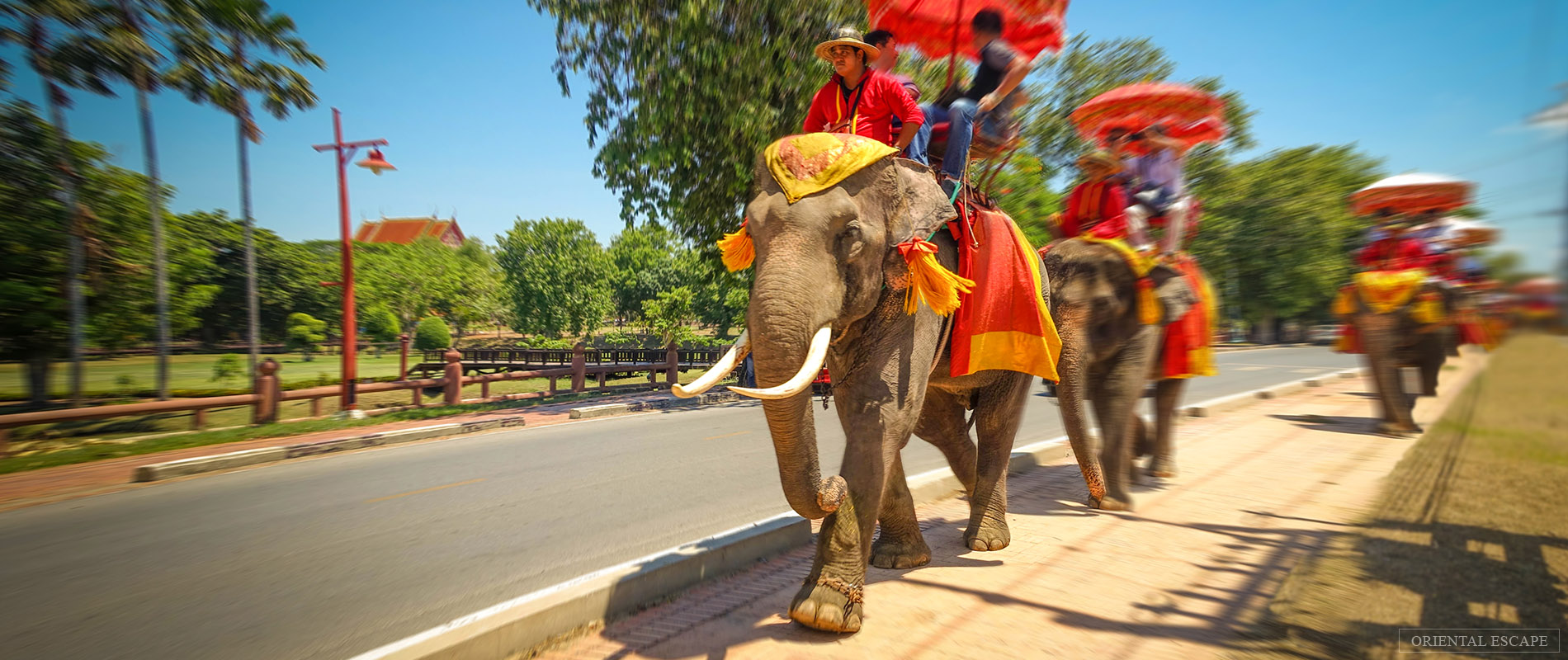 tour-ayutthaya