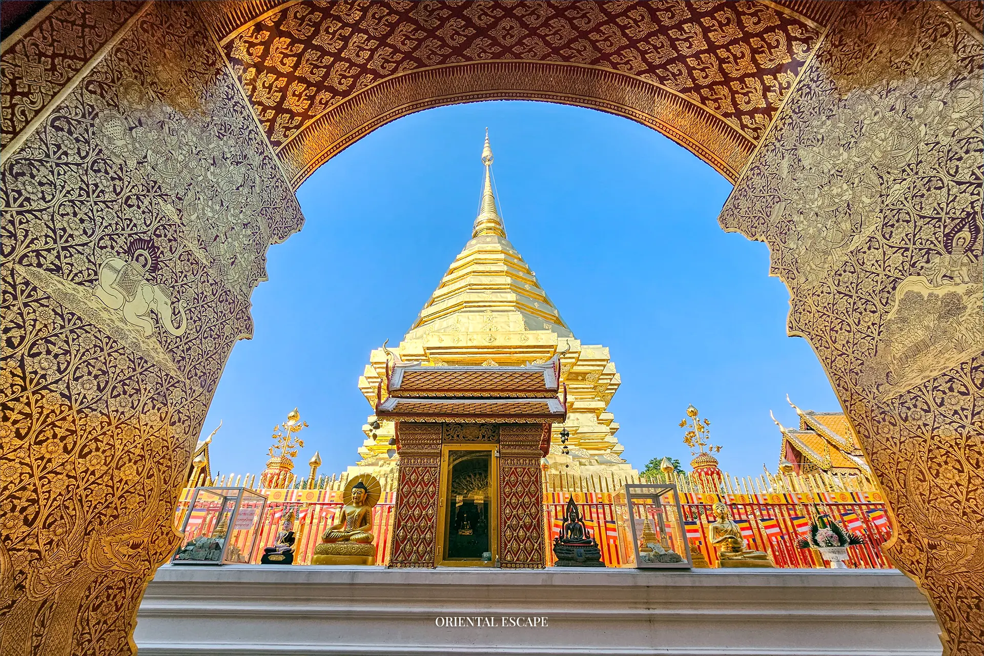 PREMIUM CHIANG MAI EXPERIENCES