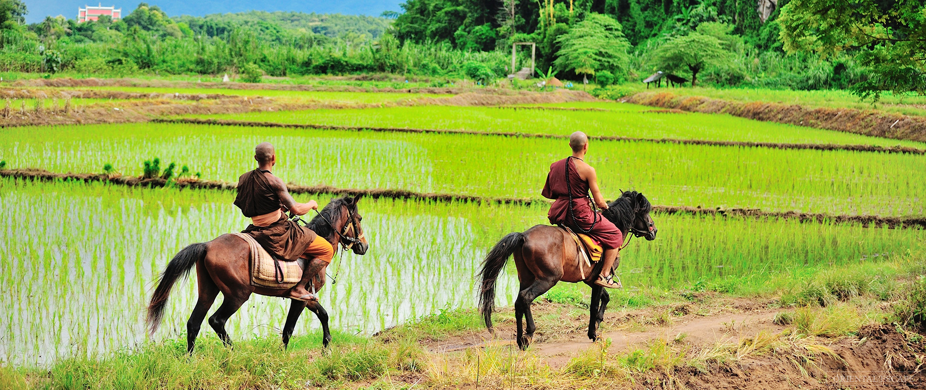tour-chiangrai