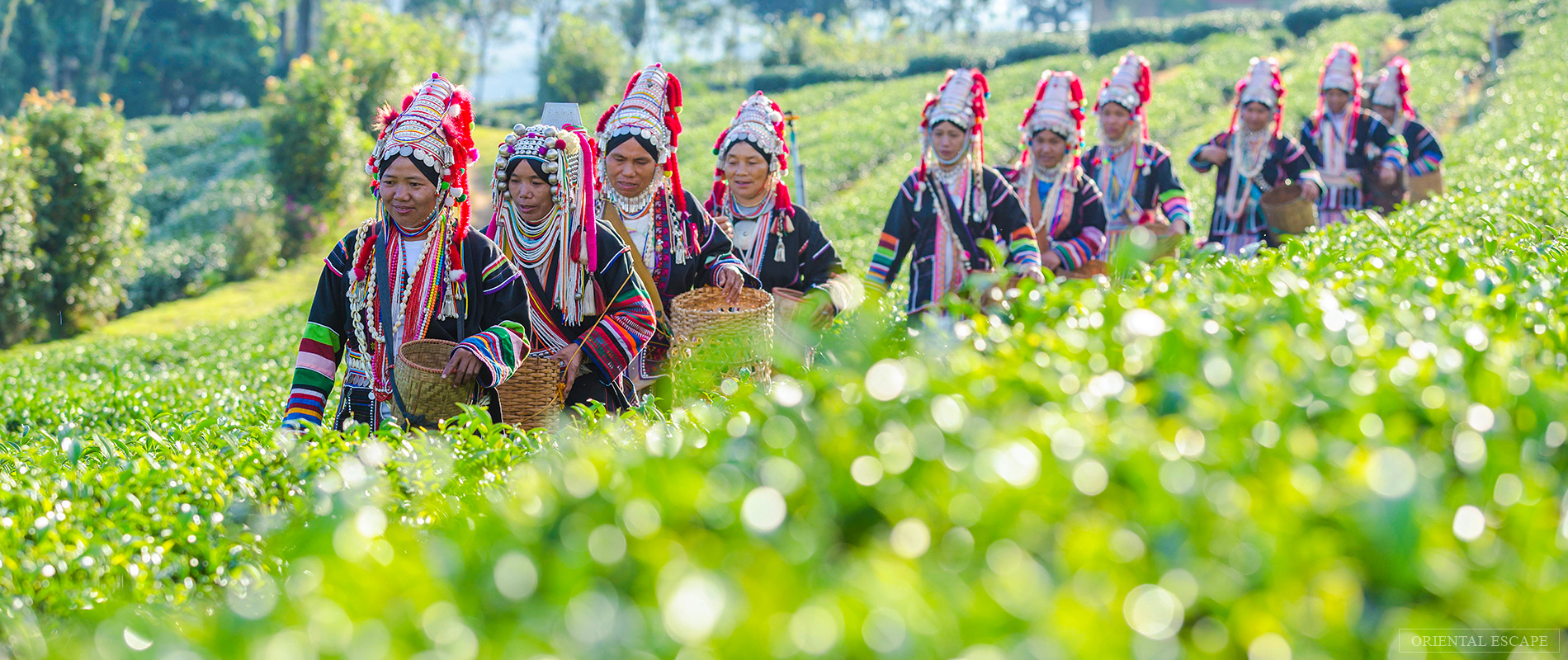 tour-chiangrai