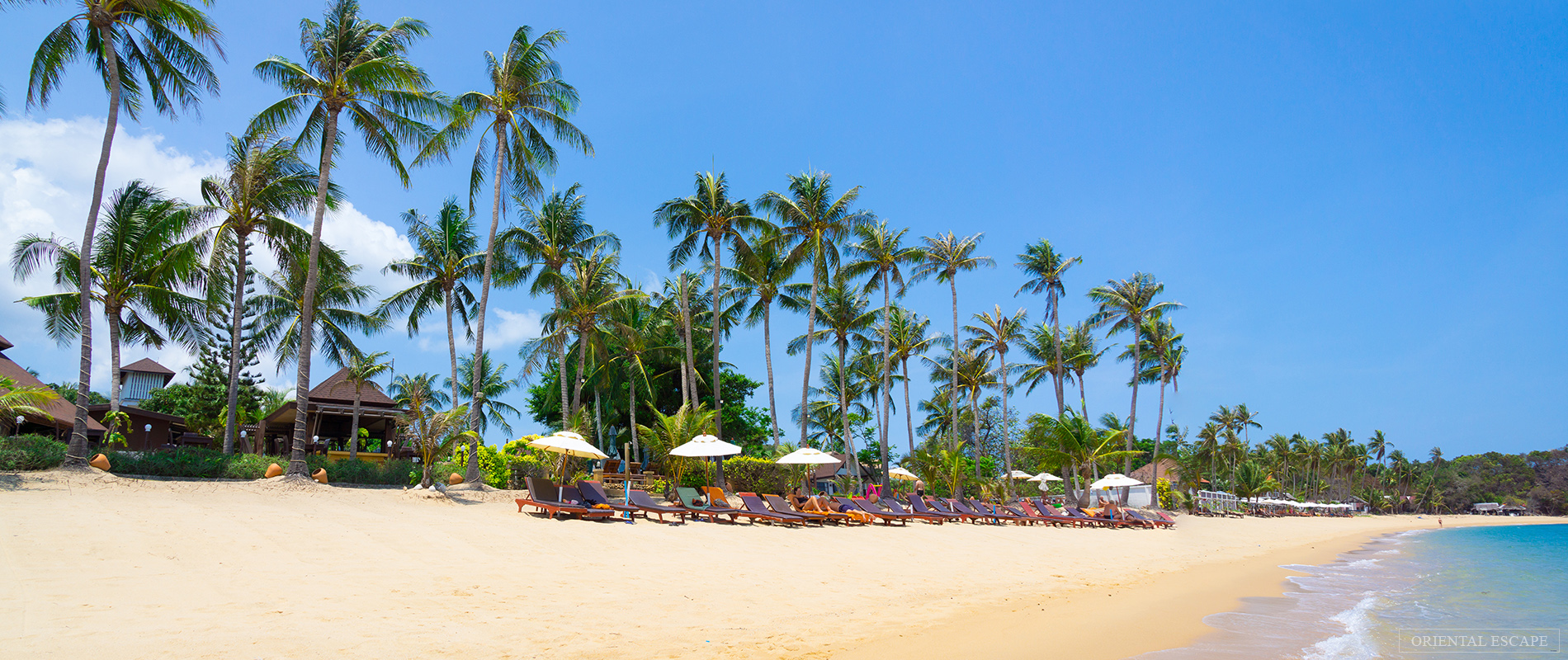 tour-samui