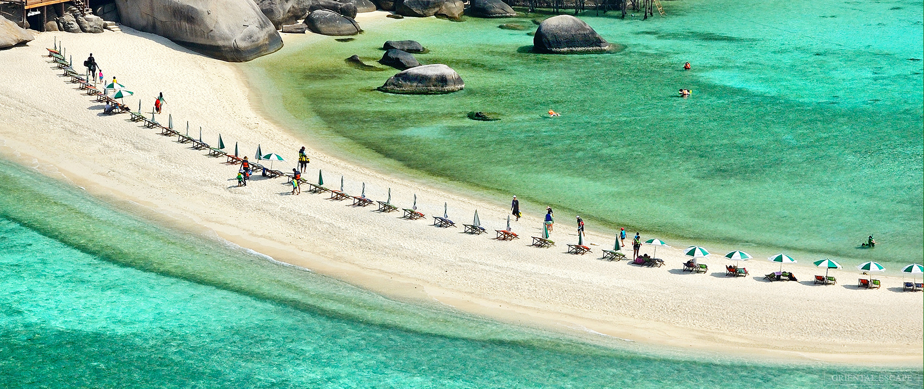 tour-samui