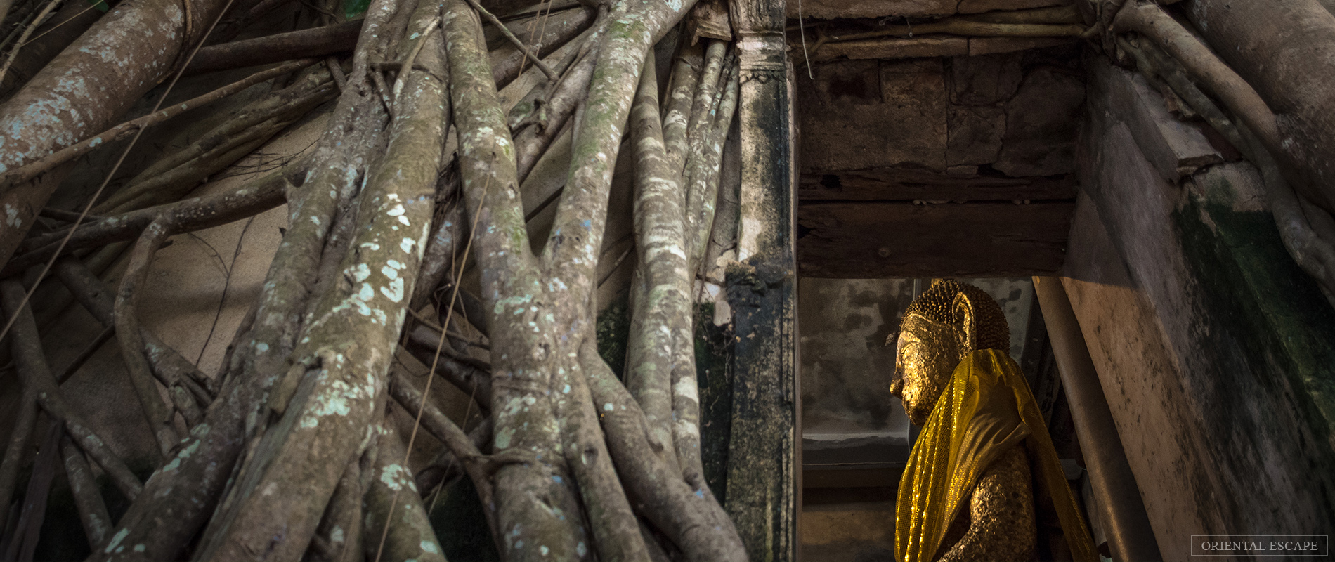 tour-samutsongkhram