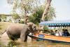 boat-elephant-bath