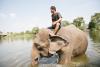 boat-elephant-bath