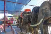 ayutthaya-experience