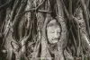 Treasures of Ayutthaya