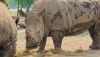safariworld