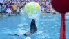 safariworld