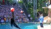 safariworld