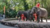 safariworld