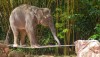 safariworld