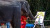 safariworld