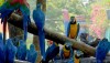 safariworld