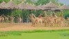 safariworld