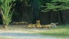 safariworld