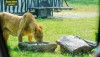 safariworld
