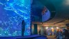 sealifeoceanworld