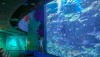 sealifeoceanworld