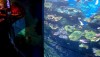 sealifeoceanworld
