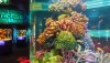 sealifeoceanworld