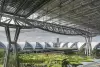 Bangkok City Tour for Transit Passengers at Bangkok Airport