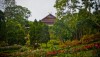 doitung-doimaesalong-hilltribe