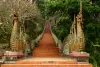 Buddhist Monk Chat and Meditation Session – Doisuthep