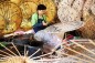 San Kampaeng Handicrafts Center & On Tai Village