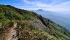 inthanon-trekking-kewmaepan