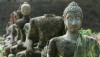 buddhism-experience