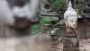 buddhism-experience