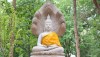 buddhism-experience