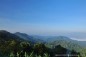 kaengkrachan