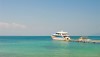 kohtalu