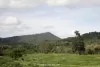 kuiburi