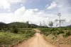 kuiburi