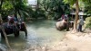jungle