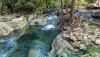 jungle