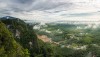jungle