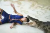 Samphran Elephant Theme Show & Crocodile Farm