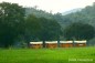 Farm Chokchai