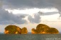 phangnga-silverhawk