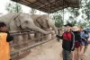 elephant-jungle-sanctuary