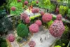 nongnooch-floatingmarket-sanctury-of-the-truth
