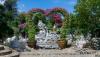 millionyearsstonepark-crocodilefarm