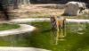 millionyearsstonepark-crocodilefarm