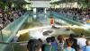millionyearsstonepark-crocodilefarm
